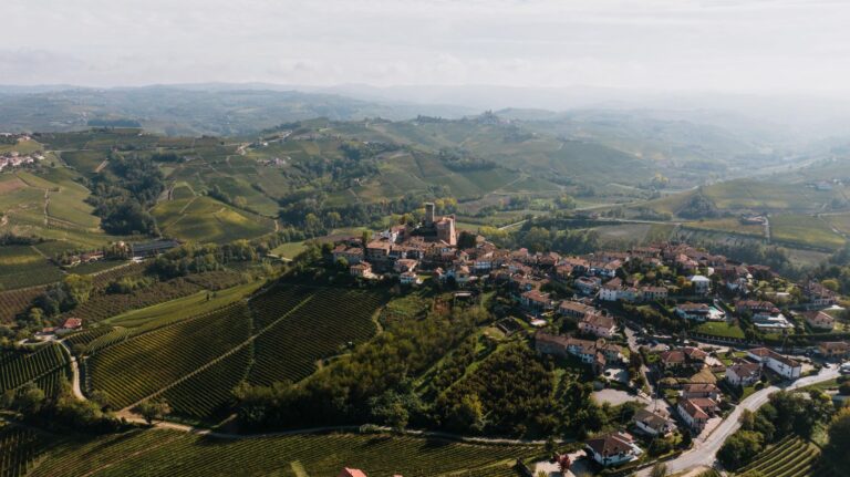 Langhe vineyards hilltop village piedmont italy detail