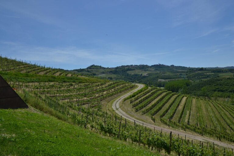 Langhe vineyards hilltop village piedmont italy