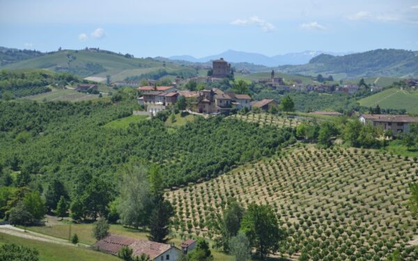 Walking the wine villages of Piedmont: a slow route through Italy’s Langhe hills
