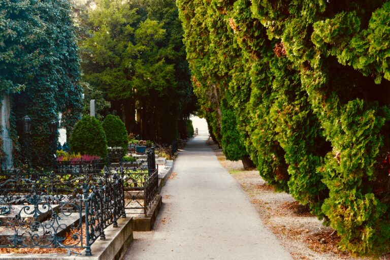 Old cemetery path