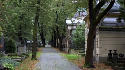 Why cemetery walks are becoming a quiet ritual of reflection and art