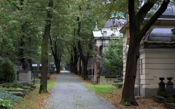 Why cemetery walks are becoming a quiet ritual of reflection and art