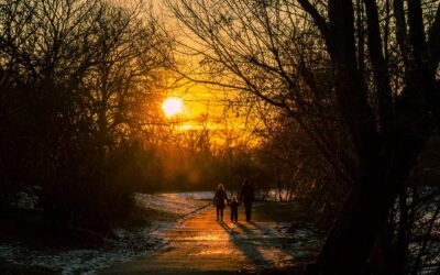 Family nature rituals that bring everyone outside and closer together