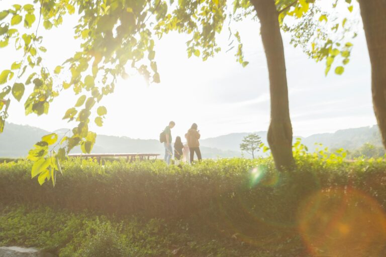 Family walking park