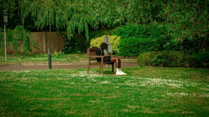 Gentle recall training games for nervous or easily distracted dogs
