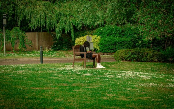 Gentle recall training games for nervous or easily distracted dogs