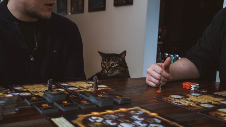 How board game