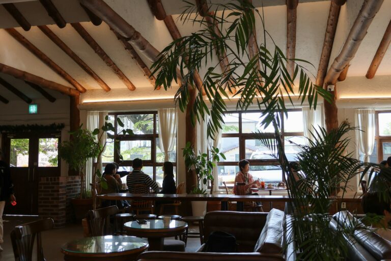 Cozy cafe interior