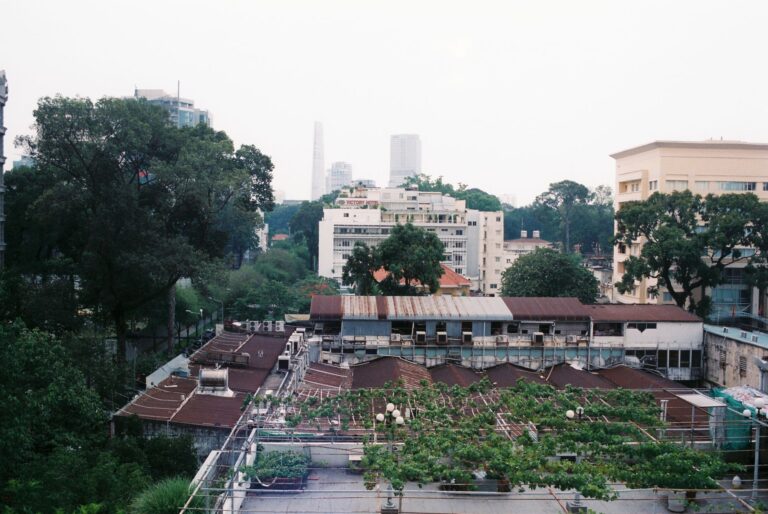 City rooftop garden