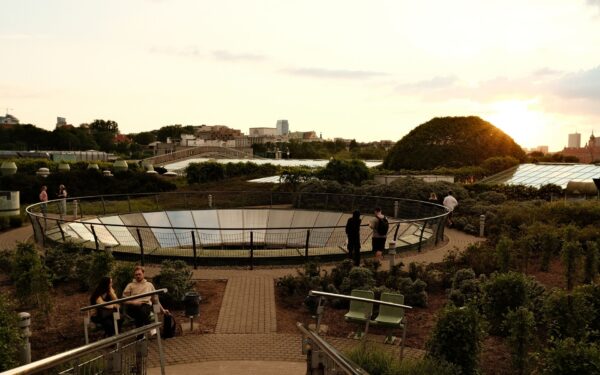 How city rooftops are turning into new cultural meeting places