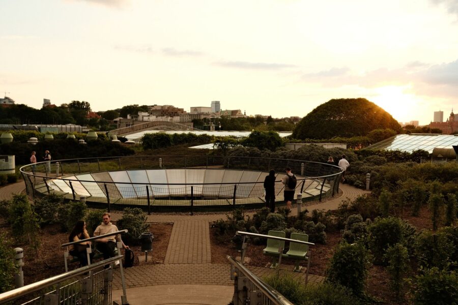 City rooftop garden