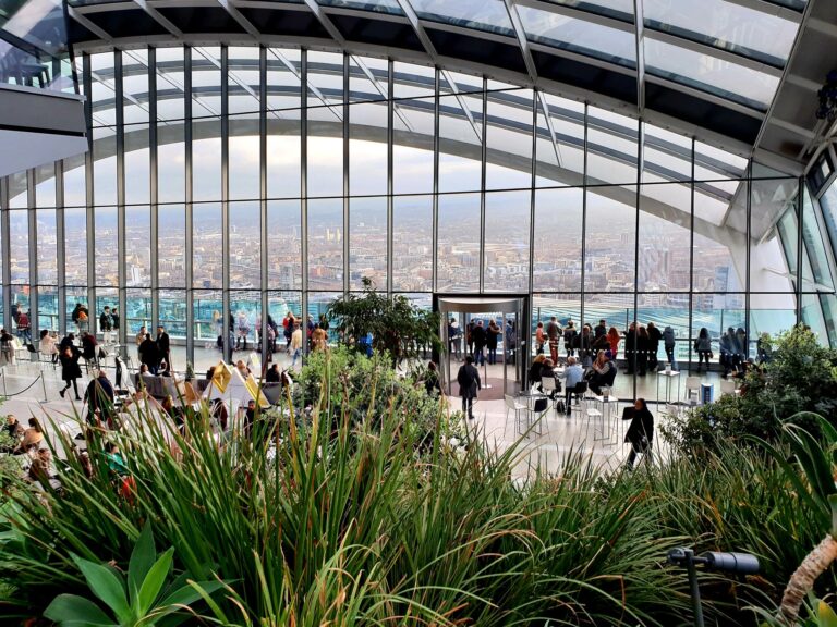 City rooftop garden