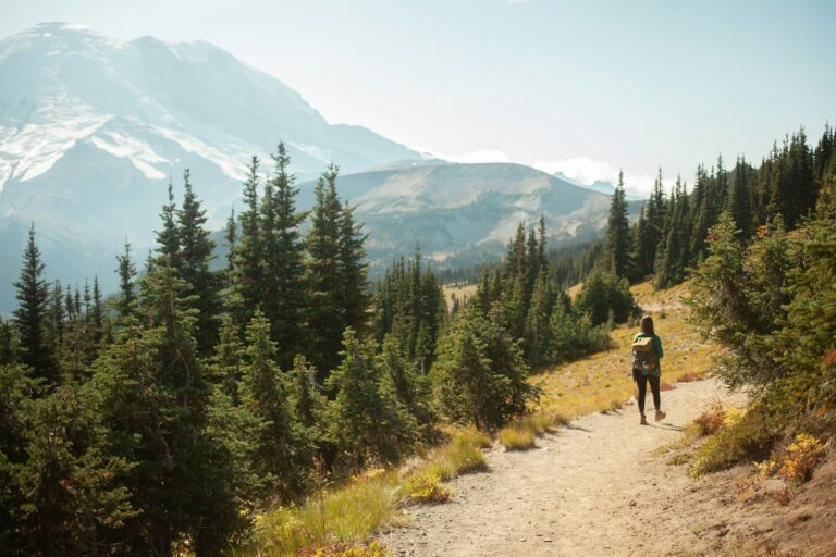 Trail runner forest