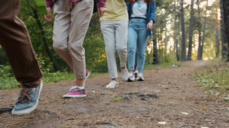 Group hiking forest
