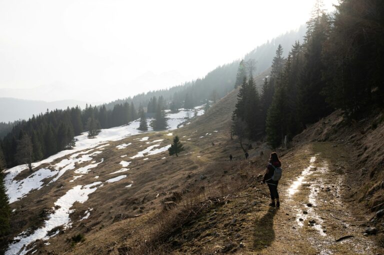 Forest trail runners