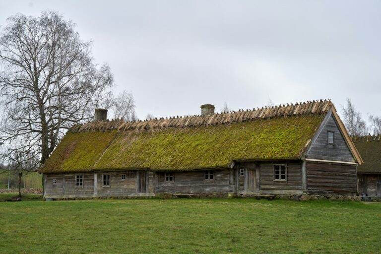 Open air museum