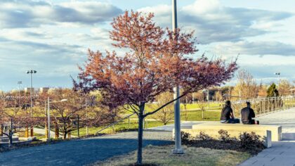 How public benches became quiet stages for urban life