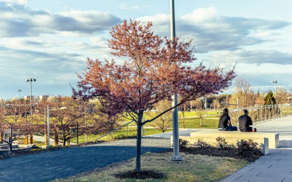 How public benches became quiet stages for urban life
