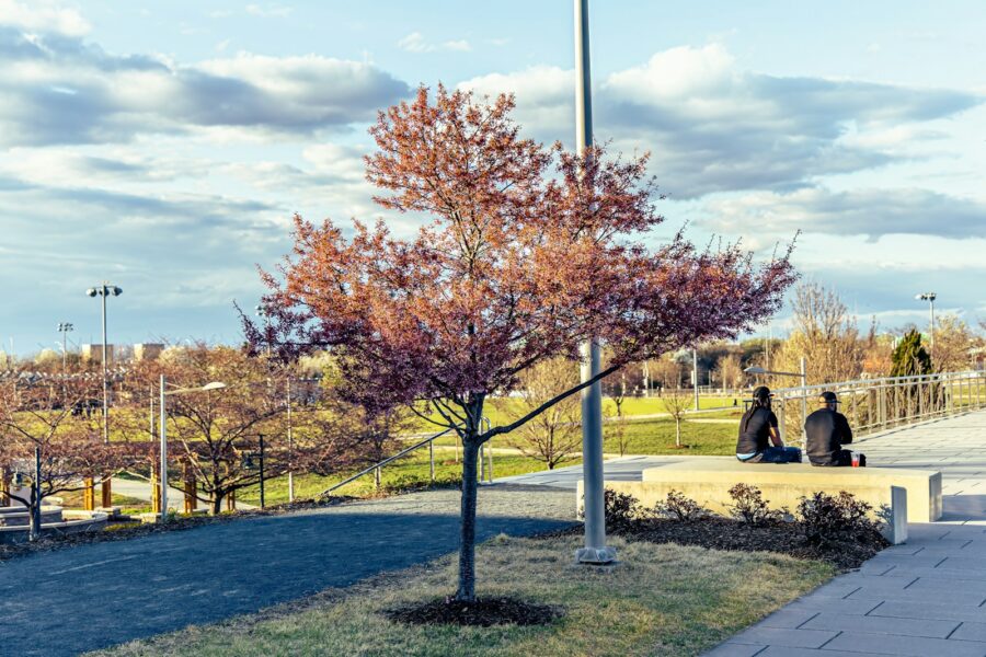 City park bench