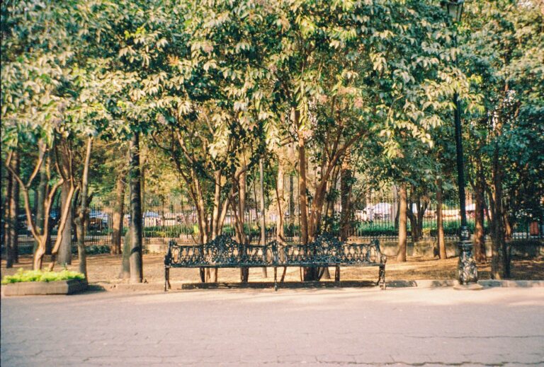 City park bench