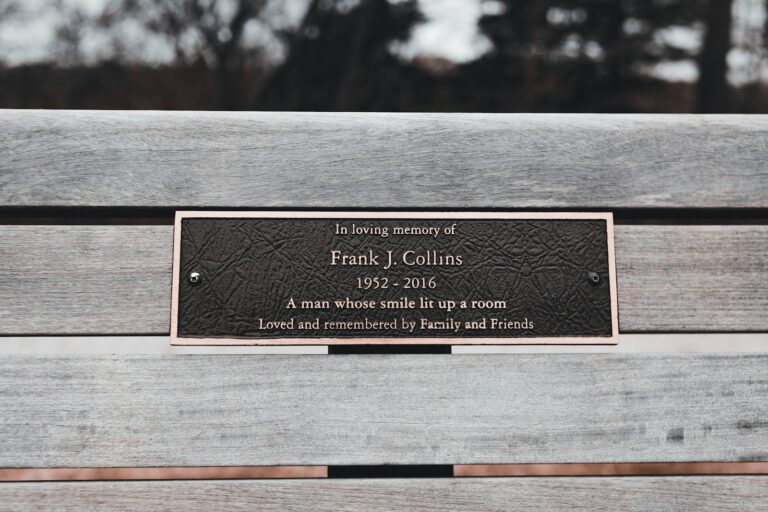 Modern urban bench