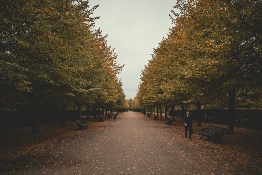 City park bench