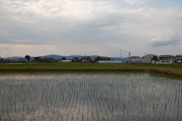 Japanese countryside village