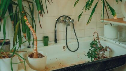 How to make puppy bath time calm, safe and stress free