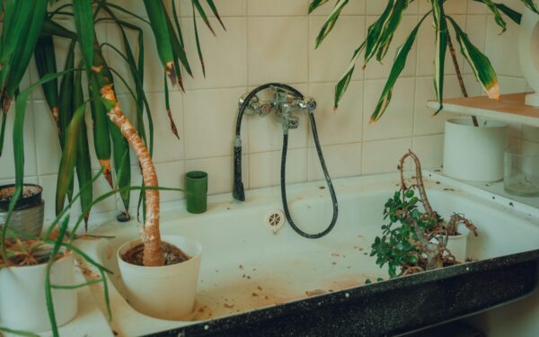 How to make puppy bath time calm, safe and stress free