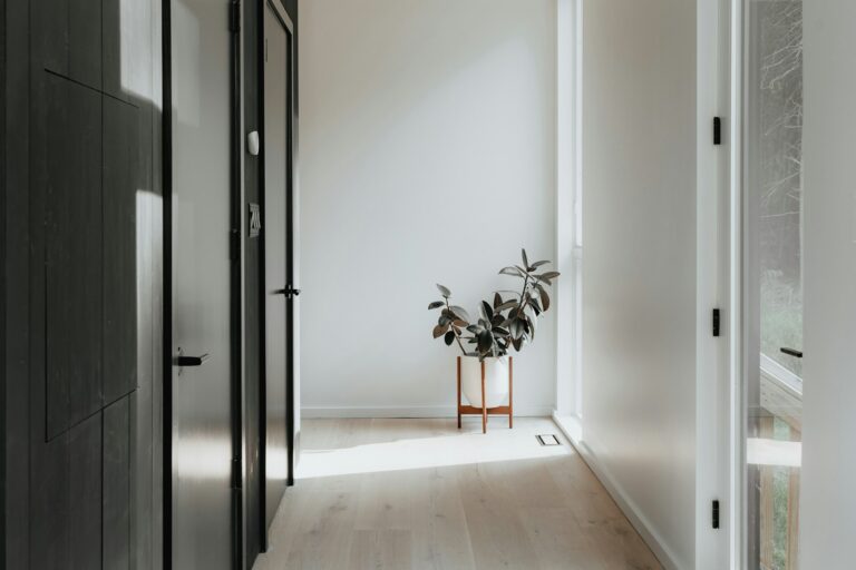 Mesh wifi system