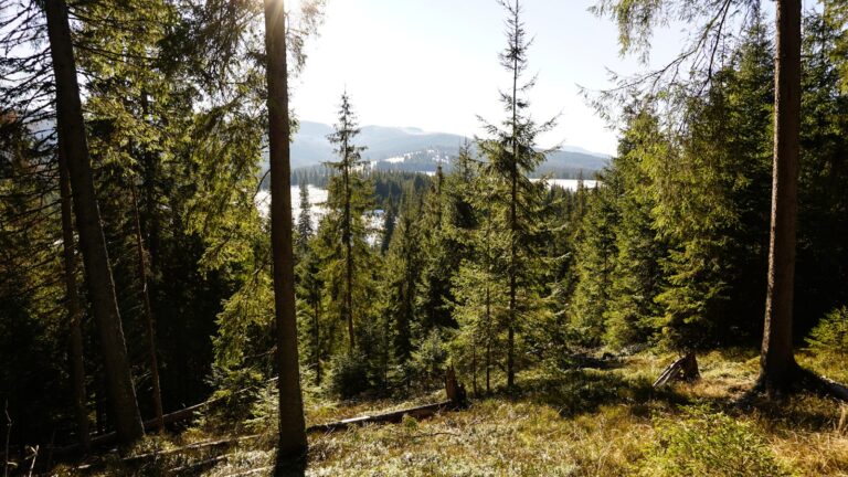 Lake viewpoint hiking