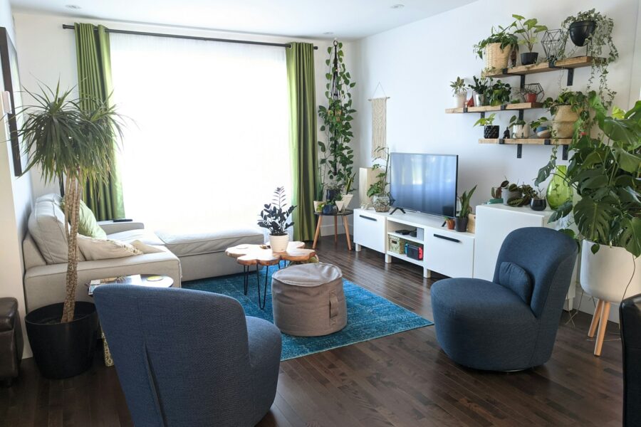 Organized living room