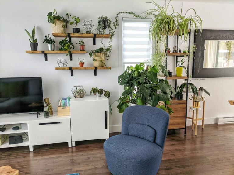 Organized living room
