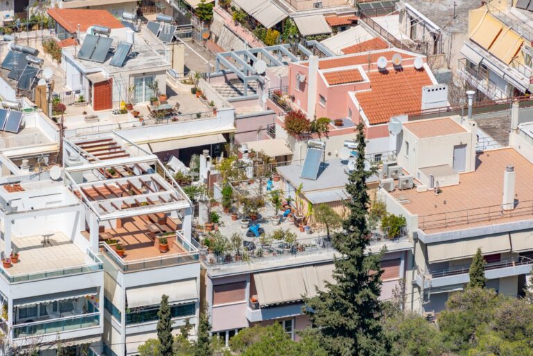 Urban rooftop garden
