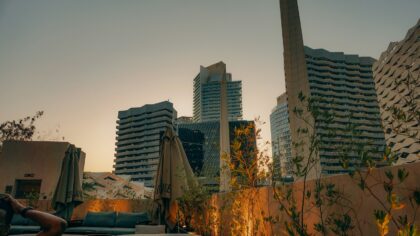 How urban rooftop gardens are growing a new culture of city life