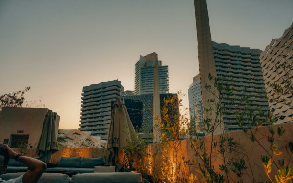 How urban rooftop gardens are growing a new culture of city life