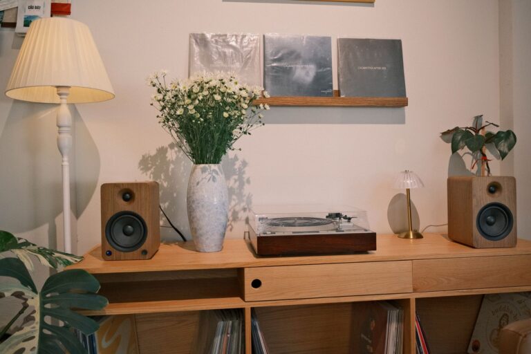 Vinyl listening bar