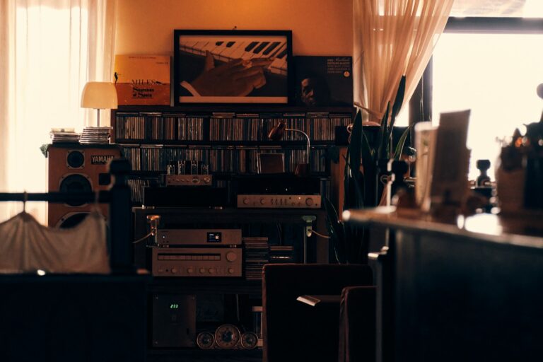 Vinyl listening bar