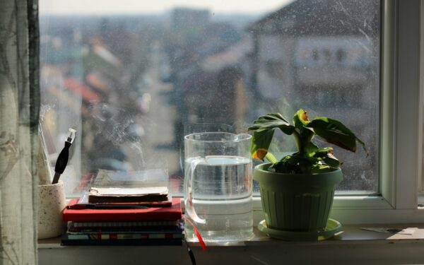 Hydration beyond water: practical ways to stay well hydrated throughout the day
