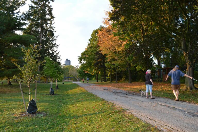 Parents walking kids