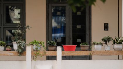 Simple balcony gardening tips that help small spaces grow more food