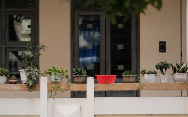 Simple balcony gardening tips that help small spaces grow more food