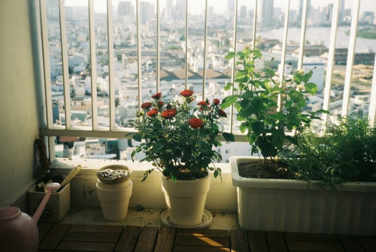 Small balcony container