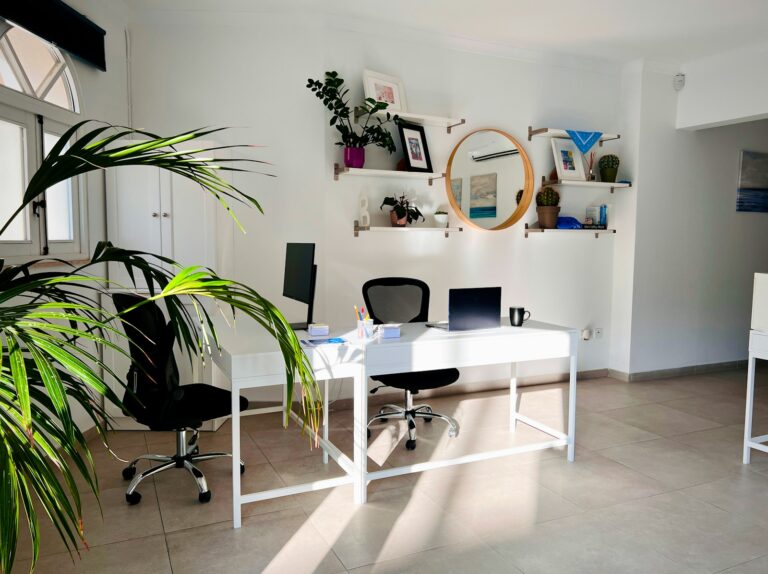 Organized home office
