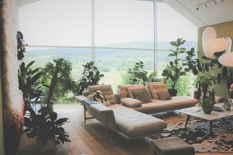 Indoor houseplants window
