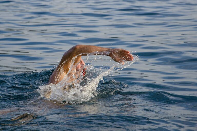 Swimmer doing freestyle